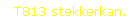 T813 stekkerkan.