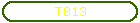 T813