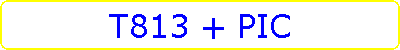 T813 + PIC