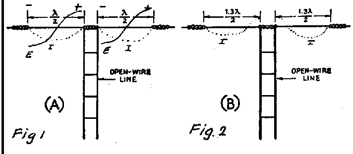 ant-1.gif (5346 bytes)