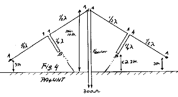ant-3.gif (4684 bytes)