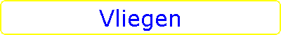 Vliegen