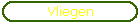 Vliegen