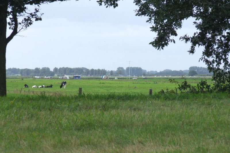 _0906hf_velddagen0113.jpg