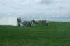 _0906hf_velddagen0120_small.jpg