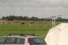 _0906hf_velddagen0173_small.jpg