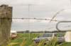 _0906hf_velddagen0177_small.jpg
