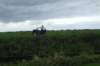 _0906hf_velddagen0203_small.jpg