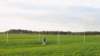 a63velddaghfcontest5en6sept2009depd2pc23_small.jpg